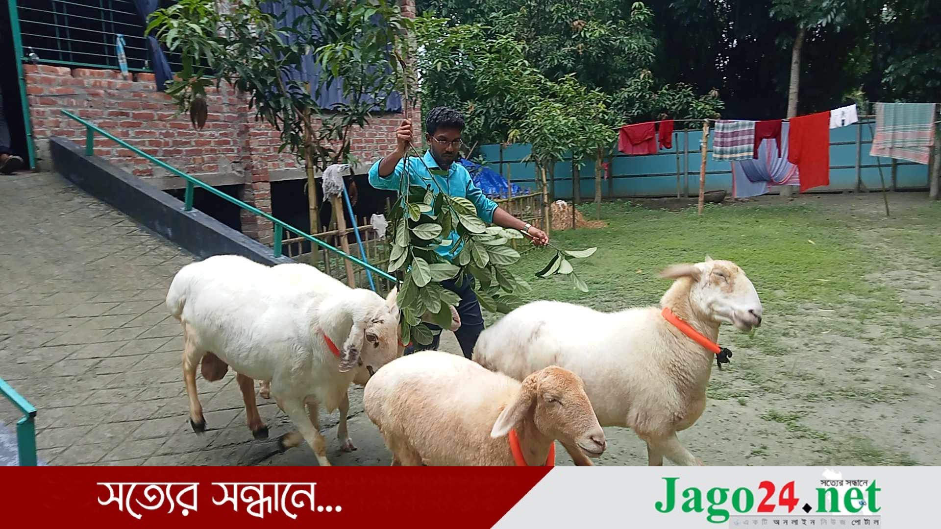 Ogizdagi porno mast Maktabda porno video